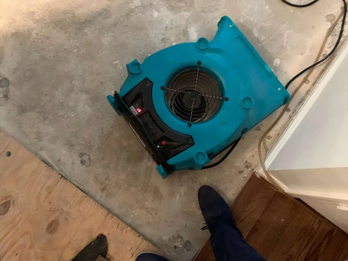 Air mover drying subfloor during Commercial Water Damage Restoration in Bucksport